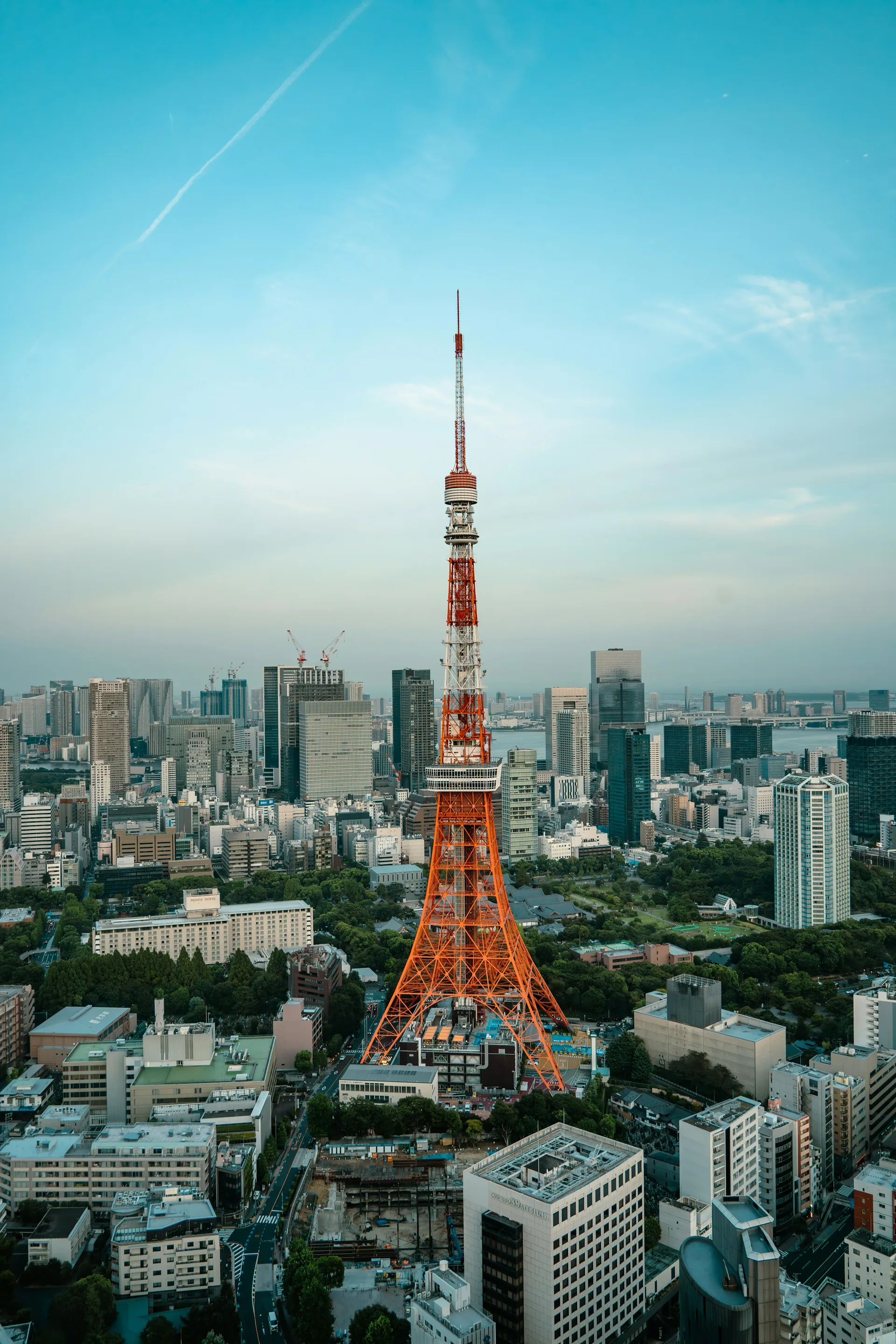 東京湾の夜景：レインボーブリッジと東京タワー、港区の高層ビル群